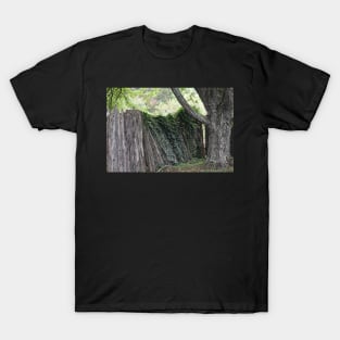 Overgrown wooden fence T-Shirt